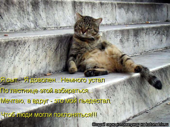 Котоматрица: Чтоб люди могли поклоняться!!! Я сыт... Я доволен...Немного устал По лестнице этой взбираться... Мечтаю, а вдруг - это мой пьедестал,