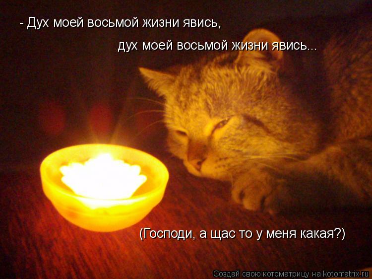 - Дух моей восьмой жизни явись, дух моей восьмой жизни явись... (Господи, а щас то у меня какая?)... Котоматрица: - Дух моей восьмой жизни явись, дух моей восьмой жизни явись... (Господи, а щас то у меня какая?)