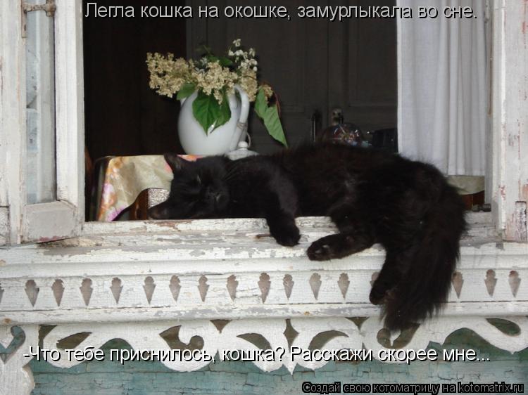 Котоматрица: Легла кошка на окошке, замурлыкала во сне. -Что тебе приснилось, кошка? Расскажи скорее мне...