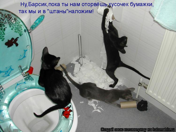 Ну,Барсик,пока ты нам оторвёшь кусочек бумажки, так мы и в "штаны"наложим!... Котоматрица: Ну,Барсик,пока ты нам оторвёшь кусочек бумажки, так мы и в "штаны"наложим!