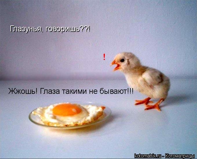Глазунья, говоришь??! Жжошь! Глаза такими не бывают!!!... Котоматрица: Глазунья, говоришь??! Жжошь! Глаза такими не бывают!!!