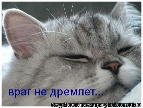 враг не дремлет...... Котоматрица: враг не дремлет...