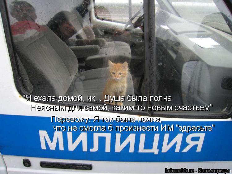 "Я ехала домой, ик... Душа была полна Неясным для самой, каким-то новым счастьем" Перевожу: Я так был... Котоматрица: "Я ехала домой, ик... Душа была полна Неясным для самой, каким-то новым счастьем" Перевожу: Я так была пьяна, что не смогла б произнести ИМ "здра