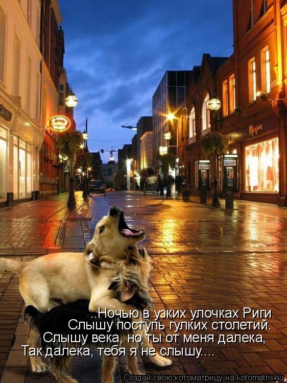 ..Ночью в узких улочках Риги Слышу поступь гулких столетий. Слышу века, но ты от меня далека, Так ... Котоматрица: ..Ночью в узких улочках Риги Слышу поступь гулких столетий. Слышу века, но ты от меня далека, Так далека, тебя я не слышу....