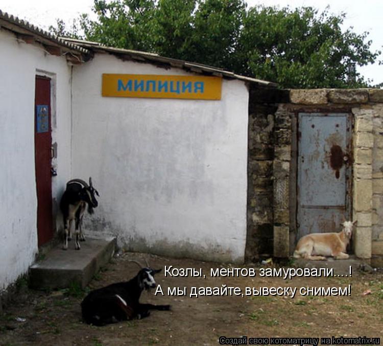 Козлы, ментов замуровали....! А мы давайте,вывеску снимем!... Котоматрица: Козлы, ментов замуровали....! А мы давайте,вывеску снимем!