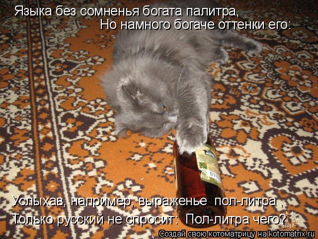 Языка без сомненья богата палитра, Но намного богаче оттенки его: Услыхав, например, выраженье «пол... Котоматрица: Языка без сомненья богата палитра, Но намного богаче оттенки его: Услыхав, например, выраженье «пол-литра», Только русский не спросит: «По