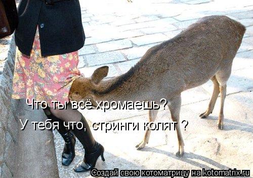 Что ты всё хромаешь? У тебя что, стринги колят ?... Котоматрица: Что ты всё хромаешь? У тебя что, стринги колят ?