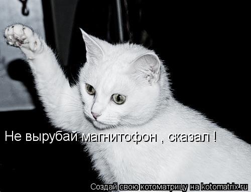 Не вырубай магнитофон , сказал !... Котоматрица: Не вырубай магнитофон , сказал !