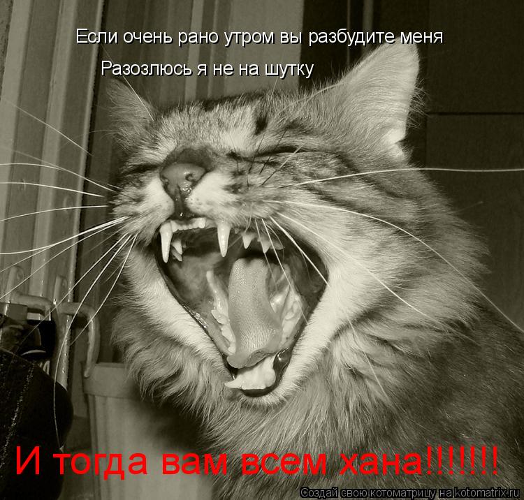 Если очень рано утром вы разбудите меня Разозлюсь я не на шутку И тогда вам всем хана!!!!!!!... Котоматрица: Если очень рано утром вы разбудите меня Разозлюсь я не на шутку И тогда вам всем хана!!!!!!!