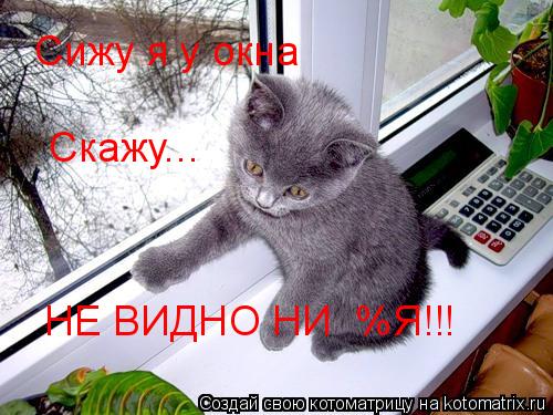 Сижу я у окна Скажу... НЕ ВИДНО НИ №%Я!!!... Котоматрица: Сижу я у окна Скажу... НЕ ВИДНО НИ №%Я!!!