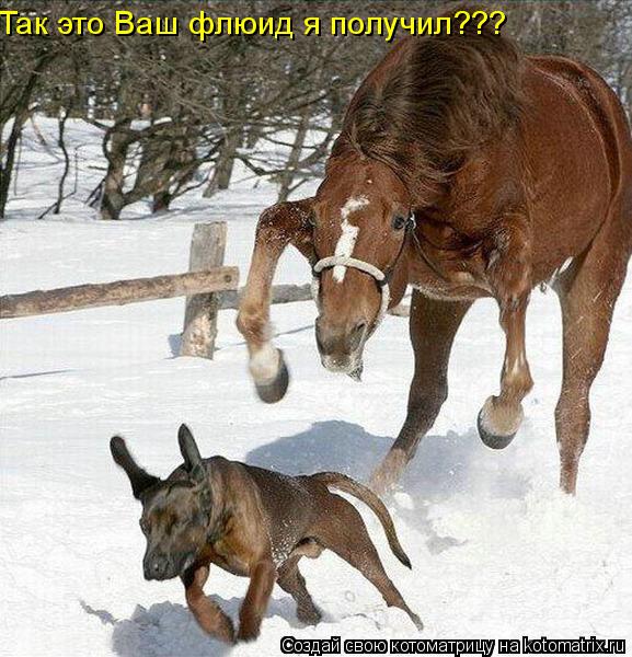 Так это Ваш флюид я получил???... Котоматрица: Так это Ваш флюид я получил???