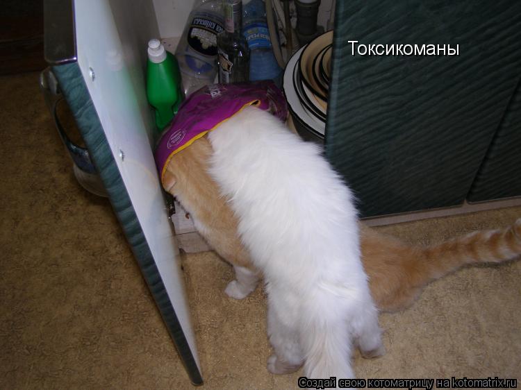 Токсикоманы... Котоматрица: Токсикоманы