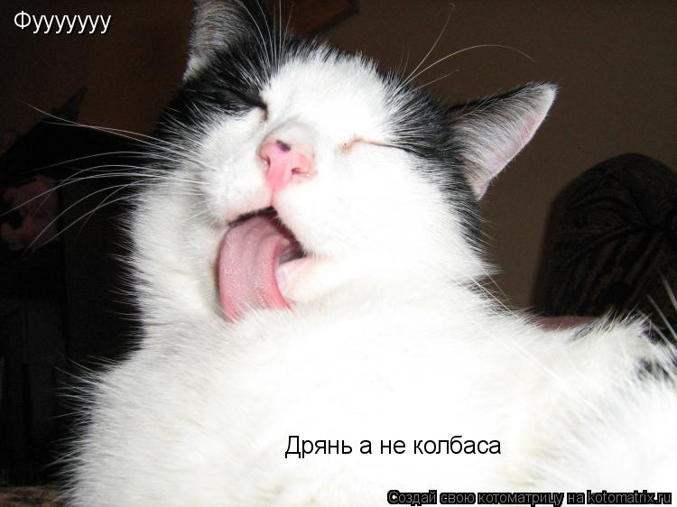 Фууууууу Дрянь а не колбаса... Котоматрица: Фууууууу Дрянь а не колбаса