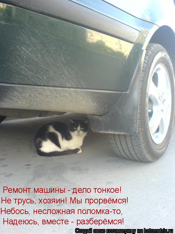Котоматрица: Надеюсь, вместе - разберёмся! Небось, несложная поломка-то,  Не трусь, хозяин! Мы прорвёмся! Ремонт машины - дело тонкое!