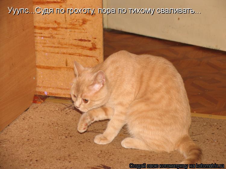 Ууупс...Судя по грохоту, пора по тихому сваливать...... Котоматрица: Ууупс...Судя по грохоту, пора по тихому сваливать...