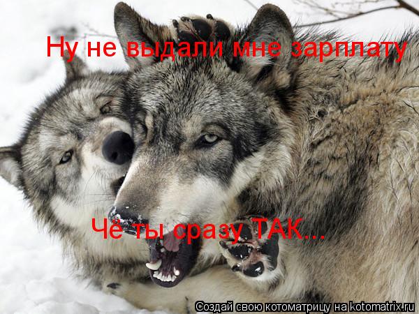 Ну не выдали мне зарплату Чё ты сразу ТАК...... Котоматрица: Ну не выдали мне зарплату Чё ты сразу ТАК...