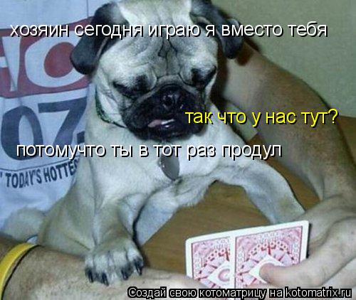 хозяин сегодня играю я вместо тебя потомучто ты в тот раз продул так что у нас тут?... Котоматрица: хозяин сегодня играю я вместо тебя потомучто ты в тот раз продул так что у нас тут?