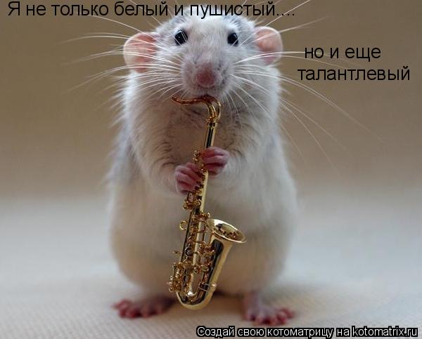 Я не только белый и пушистый.... но и еще талантлевый... Котоматрица: Я не только белый и пушистый.... но и еще талантлевый