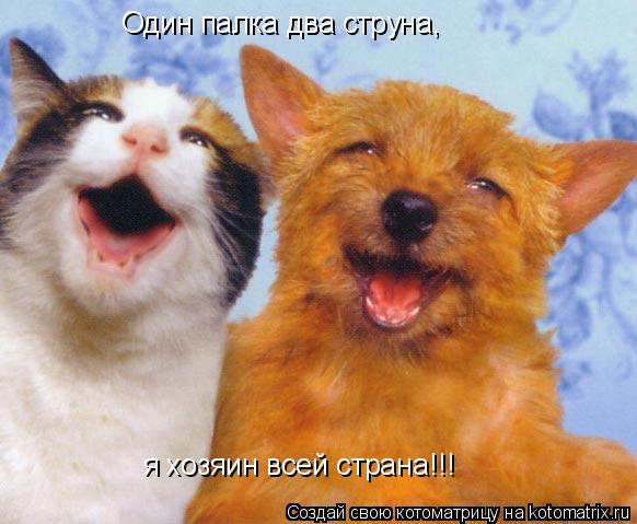 Один палка два струна, я хозяин всей страна!!!... Котоматрица: Один палка два струна, я хозяин всей страна!!!
