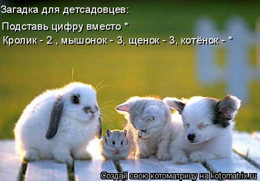 Кролик - 2 , мышонок - 3, щенок - 3, котёнок - * Подставь цифру вместо * Загадка для детсадовцев:... Котоматрица: Кролик - 2 , мышонок - 3, щенок - 3, котёнок - * Подставь цифру вместо * Загадка для детсадовцев: