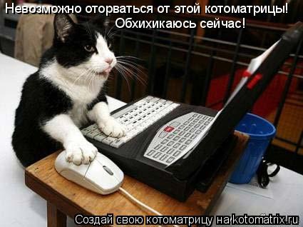 Невозможно оторваться от этой котоматрицы! Обхихикаюсь сейчас!... Котоматрица: Невозможно оторваться от этой котоматрицы! Обхихикаюсь сейчас!