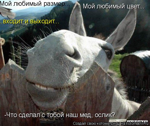 -Что сделал с тобой наш мед, ослик? Мой любимый размер... Мой любимый цвет... ..входит и выходит...... Котоматрица: -Что сделал с тобой наш мед, ослик? Мой любимый размер... Мой любимый цвет... ..входит и выходит...