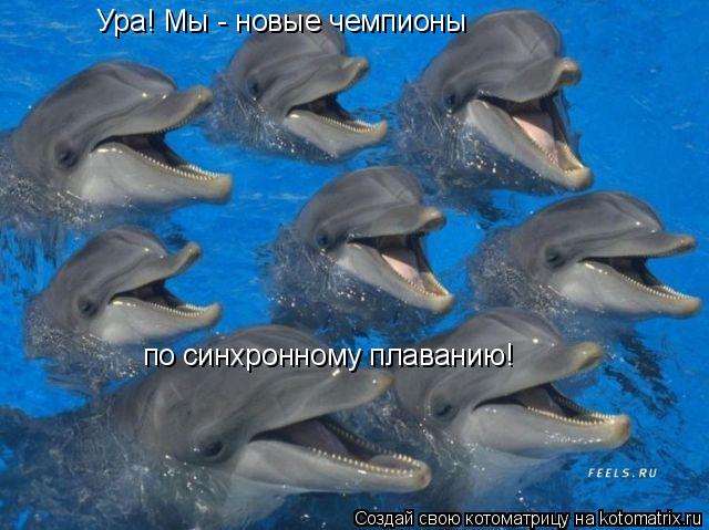 Ура! Мы - новые чемпионы по синхронному плаванию!... Котоматрица: Ура! Мы - новые чемпионы по синхронному плаванию!