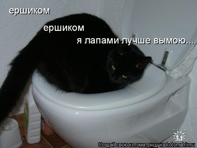 ершиком ершиком я лапами лучше вымою...... Котоматрица: ершиком ершиком я лапами лучше вымою...