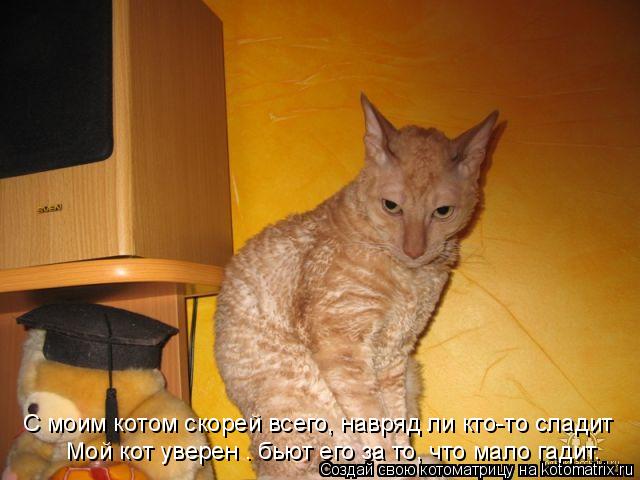 С моим котом скорей всего, навряд ли кто-то сладит Мой кот уверен – бьют его за то, что мало гадит.... Котоматрица: С моим котом скорей всего, навряд ли кто-то сладит Мой кот уверен – бьют его за то, что мало гадит.