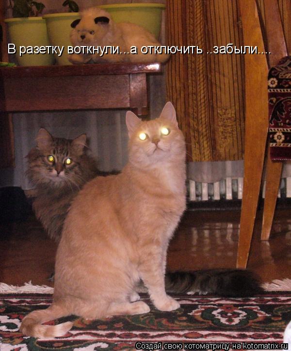 В разетку воткнули...а отключить ..забыли....... Котоматрица: В разетку воткнули...а отключить ..забыли....