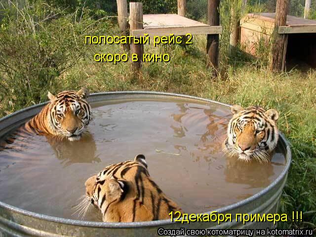 полосатый рейс 2 скоро в кино 12декабря примера !!!... Котоматрица: полосатый рейс 2 скоро в кино 12декабря примера !!!