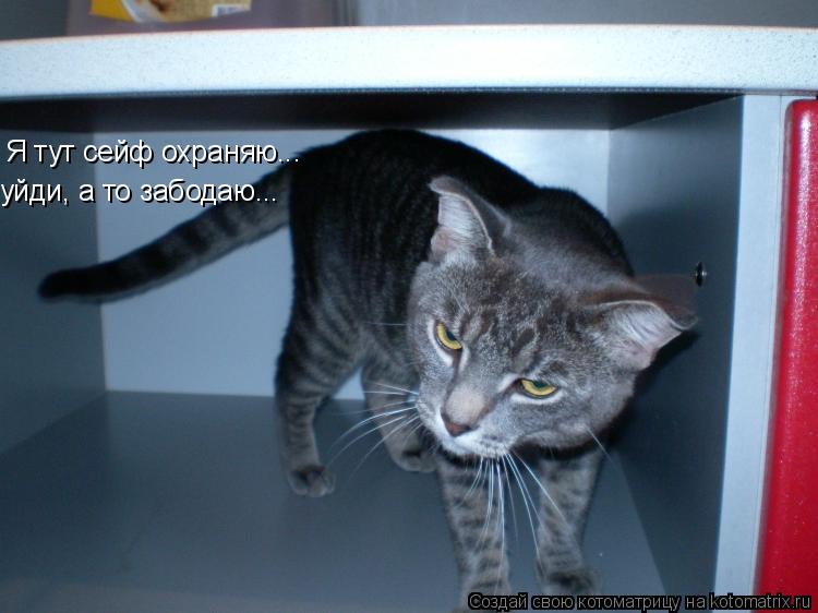 Я тут сейф охраняю... уйди, а то забодаю...... Котоматрица: Я тут сейф охраняю... уйди, а то забодаю...
