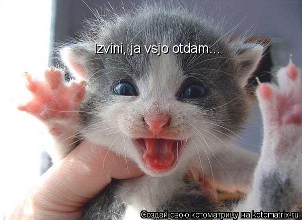 Izvini, ja vsjo otdam...... Котоматрица: Izvini, ja vsjo otdam...