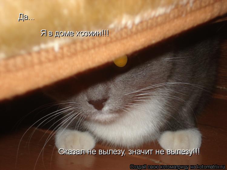 Да... Я в доме хозиин!!! Сказал не вылезу, значит не вылезу!!!... Котоматрица: Да... Я в доме хозиин!!! Сказал не вылезу, значит не вылезу!!!