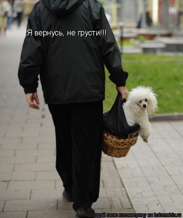 Я вернусь, не грусти!!!... Котоматрица: Я вернусь, не грусти!!!