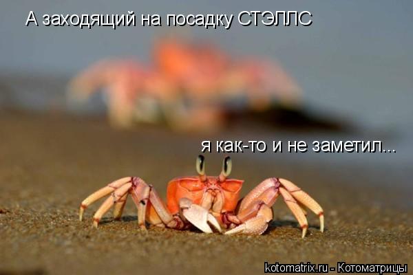А заходящий на посадку СТЭЛЛС я как-то и не заметил...... Котоматрица: А заходящий на посадку СТЭЛЛС я как-то и не заметил...