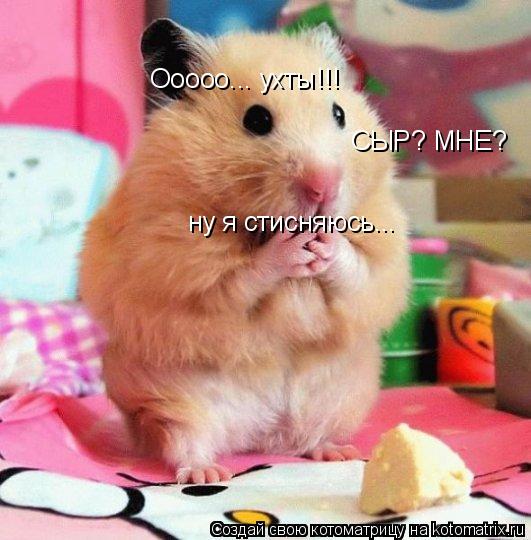 Ооооо... ухты!!! СЫР? МНЕ? ну я стисняюсь... ну я стисняюсь...... Котоматрица: Ооооо... ухты!!! СЫР? МНЕ? ну я стисняюсь... ну я стисняюсь...