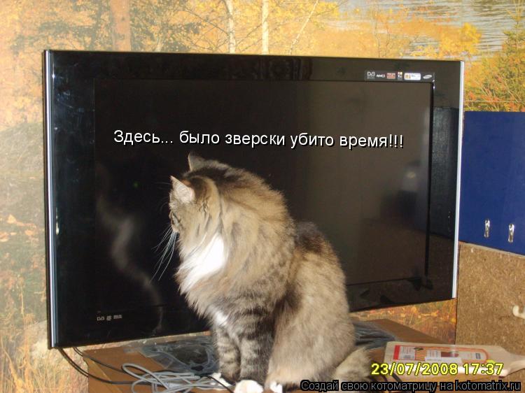 «Здесь... было зверски убито время!!!»... Котоматрица: «Здесь... было зверски убито время!!!»