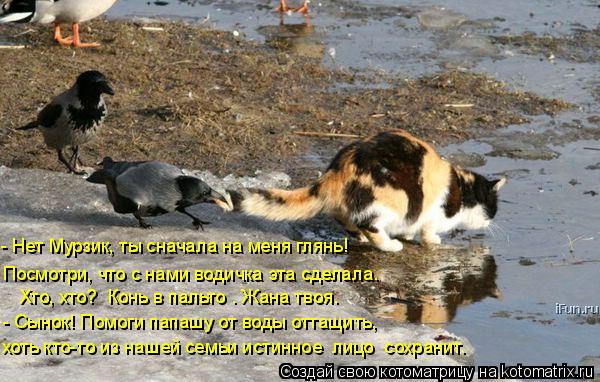 хоть кто-то из нашей семьи истинное «лицо» сохранит. - Сынок! Помоги папашу от воды оттащить, Посмотр... Котоматрица: хоть кто-то из нашей семьи истинное «лицо» сохранит. - Сынок! Помоги папашу от воды оттащить, Посмотри, что с нами водичка эта сделала. - Нет М