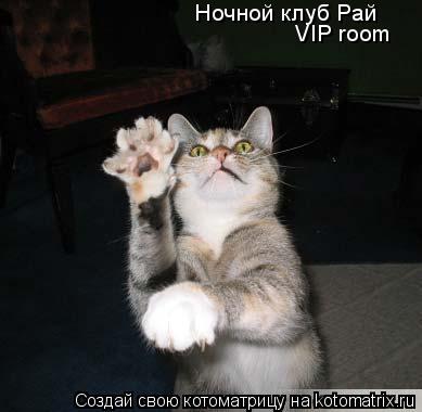 Ночной клуб Рай VIP room... Котоматрица: Ночной клуб Рай VIP room