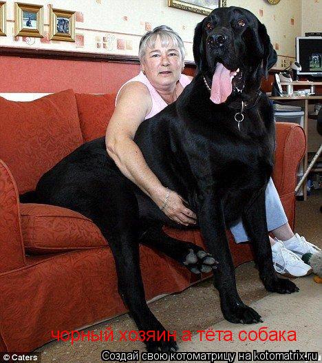 чорный хозяин а тёта собака... Котоматрица: чорный хозяин а тёта собака