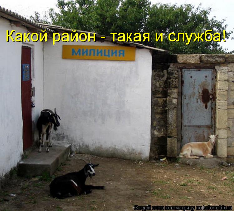 Какой район - такая и служба!... Котоматрица: Какой район - такая и служба!