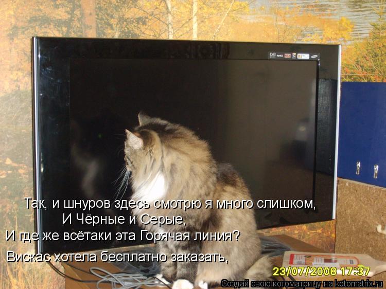 Так, и шнуров здесь смотрю я много слишком, И Чёрные и Серые, И где же всётаки эта Горячая линия? Вис... Котоматрица: Так, и шнуров здесь смотрю я много слишком, И Чёрные и Серые, И где же всётаки эта Горячая линия? Вискас хотела бесплатно заказать,