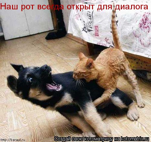 Наш рот всегда открыт для диалога... Котоматрица: Наш рот всегда открыт для диалога