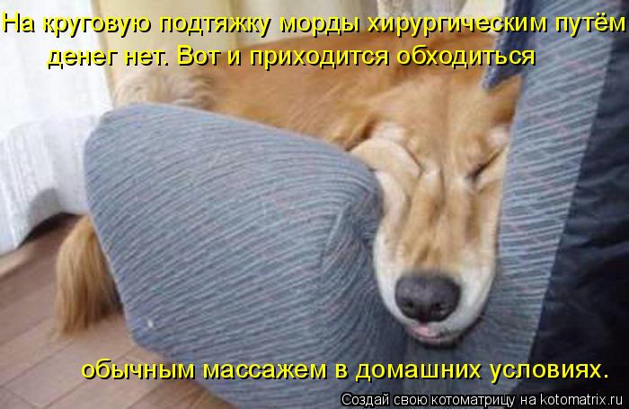 На круговую подтяжку морды хирургическим путём денег нет. Вот и приходится обходиться обычным массаже... Котоматрица: На круговую подтяжку морды хирургическим путём денег нет. Вот и приходится обходиться обычным массажем в домашних условиях.