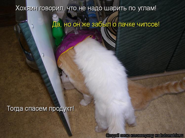 Хохяин говорил, что не надо шарить по углам! Да, но он же забыл о пачке чипсов! Тогда спасем продукт!... Котоматрица: Хохяин говорил, что не надо шарить по углам! Да, но он же забыл о пачке чипсов! Тогда спасем продукт!