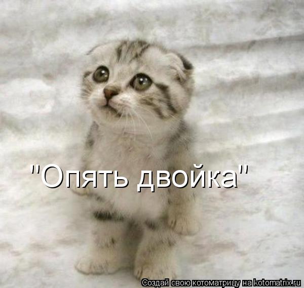 "Опять двойка"... Котоматрица: "Опять двойка"