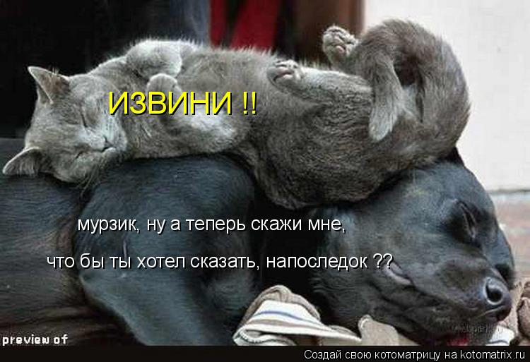 мурзик, ну а теперь скажи мне, что бы ты хотел сказать, напоследок ?? ИЗВИНИ !!... Котоматрица: мурзик, ну а теперь скажи мне, что бы ты хотел сказать, напоследок ?? ИЗВИНИ !!