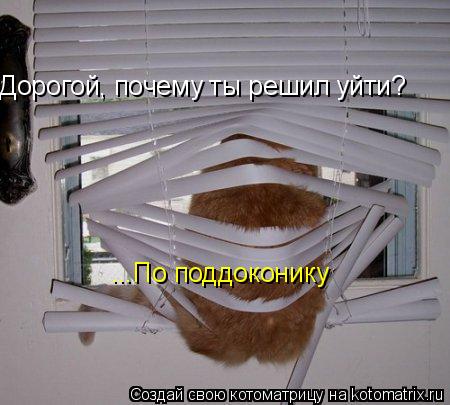 Дорогой, почему ты решил уйти? ...По поддоконику... Котоматрица: Дорогой, почему ты решил уйти? ...По поддоконику