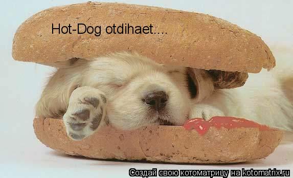 Hot-Dog otdihaet....... Котоматрица: Hot-Dog otdihaet....